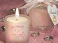 Baby Shower Favors 